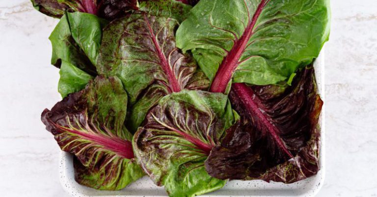 Superfoods - Leaves of Chard