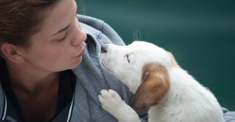 Pet Care - Woman Wearing Gray Jacket Beside White Puppy