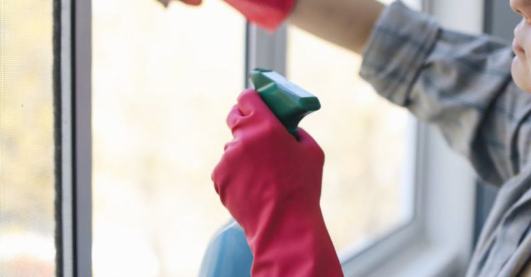 Cleaning Products - A Woman Cleaning the Window